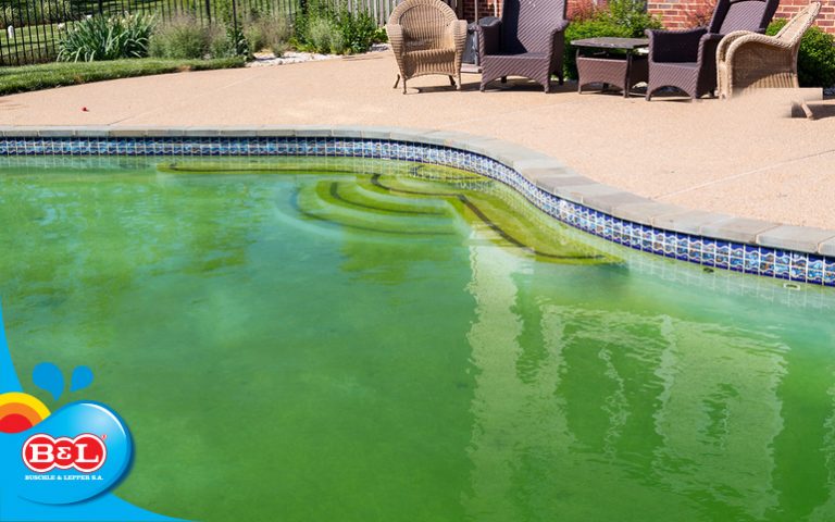 Piscina com água verde: entenda esse fenômeno e aprenda a resolvê-lo ...