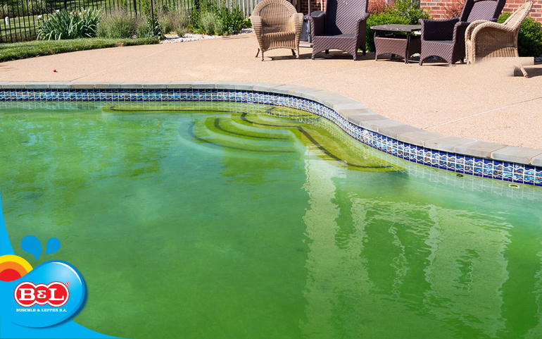 piscina com água verde