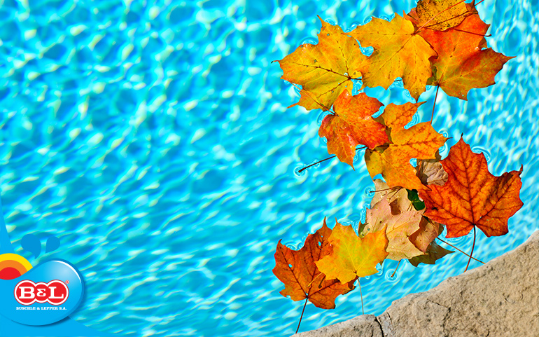 Descubra como fazer o tratamento da piscina no outono