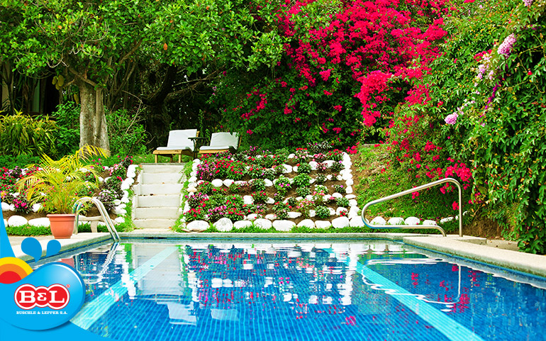 Conheça as melhores plantas de primavera para decorar a área da piscina
