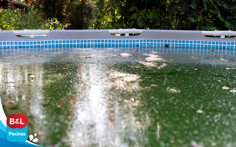 Hora do algicida: entenda o papel desta solução no combate às algas na piscina