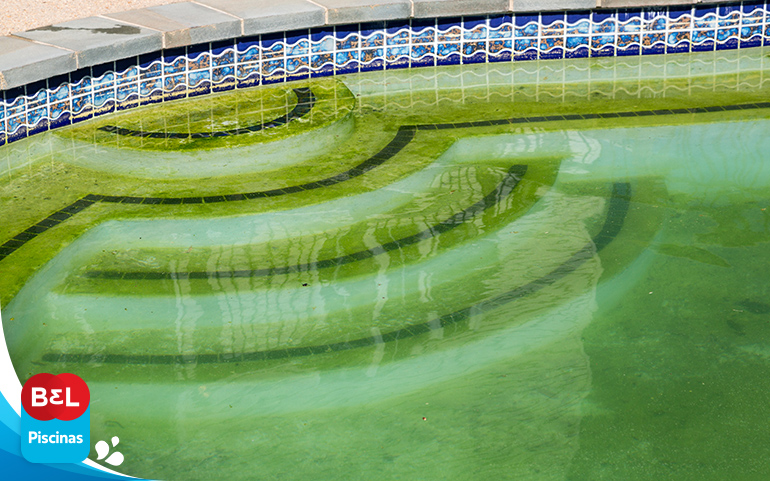 Algas no rejunte da piscina: confira dicas para lidar com o problema